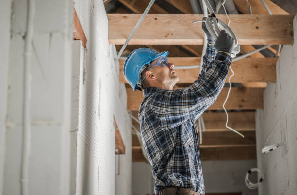 Best Electrical Upgrades for Homes  in Carbondale, IL