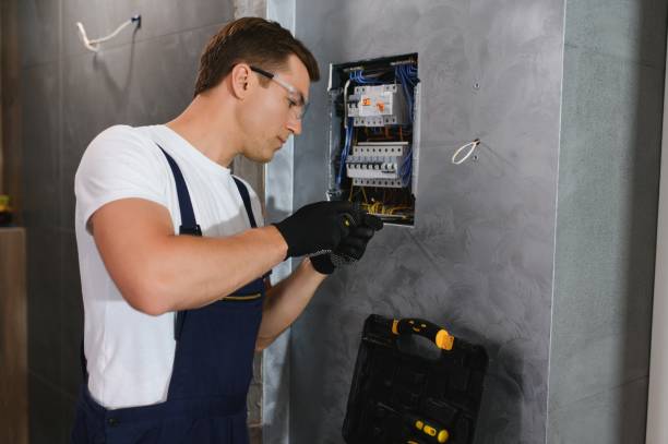 Best Electric Panel Repair  in Carbondale, IL